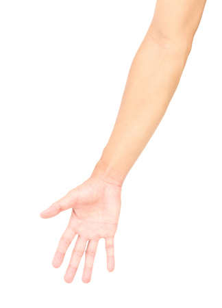 Brazos completos con manos